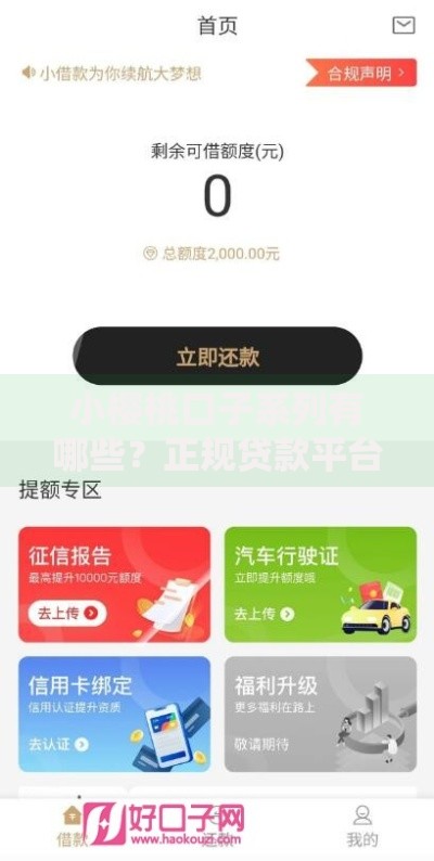 小樱桃口子系列有哪些？正规贷款平台推荐及申请指南