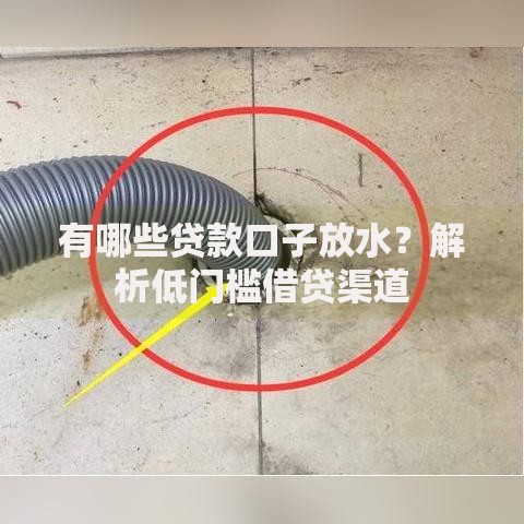 有哪些贷款口子放水？解析低门槛借贷渠道