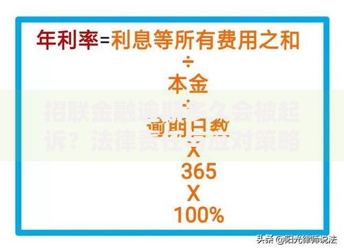 招联金融逾期多久会被起诉？法律责任与应对策略
