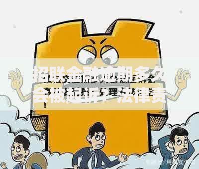 招联金融逾期多久会被起诉？法律责任与应对策略