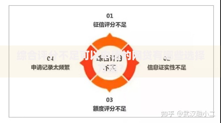 综合评分不足可以申请的网贷有哪些选择方案？