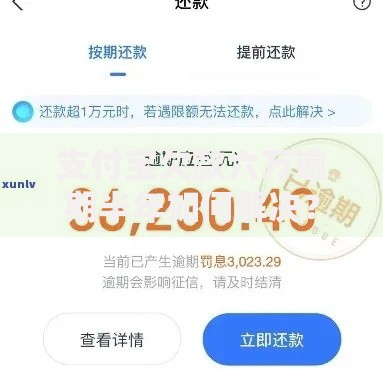 支付宝欠款六万逾期半年如何解决？全面解析应对策略