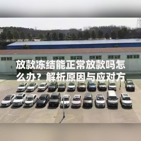 放款冻结能正常放款吗怎么办？解析原因与应对方案