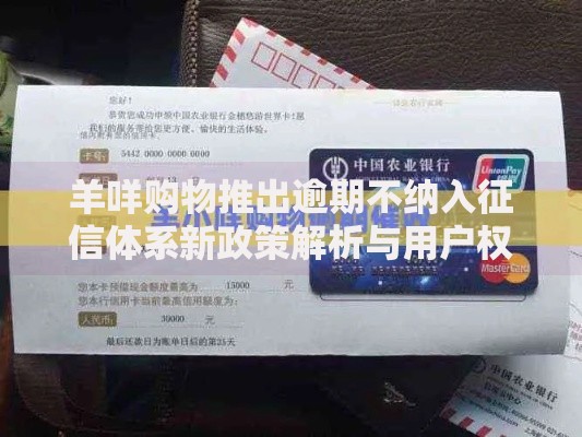 羊咩购物推出逾期不纳入征信体系新政策解析与用户权益评估