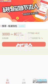 不限年龄的借钱软件500：快速借款渠道与安全指南