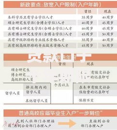 贷款口子十年期限放宽：政策解读与申请全攻略