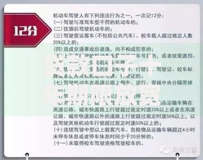 贷款口子十年期限放宽：政策解读与申请全攻略