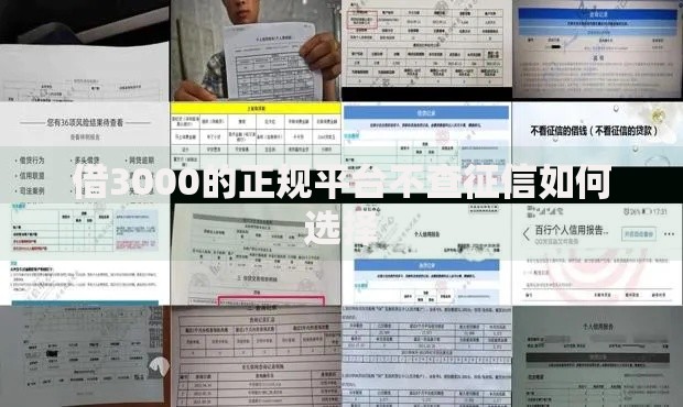 借3000的正规平台不查征信如何选择
