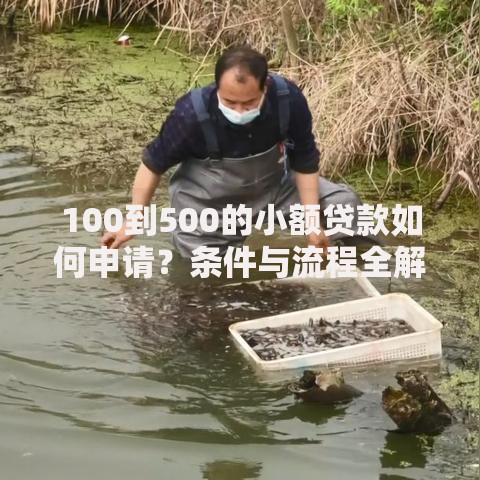 100到500的小额贷款如何申请？条件与流程全解析