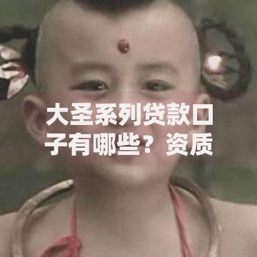 大圣系列贷款口子有哪些？资质要求与申请流程解析