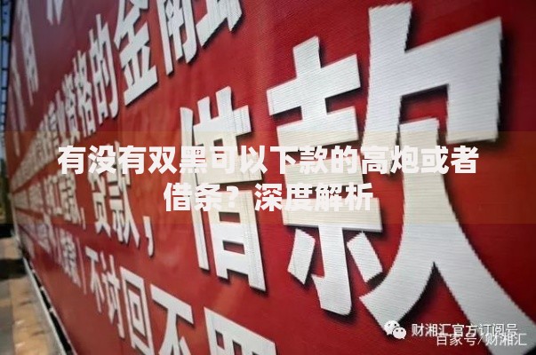 有没有双黑可以下款的高炮或者借条？深度解析