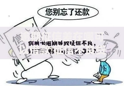 逾期征信差在哪可以借款 征信不良贷款渠道解析
