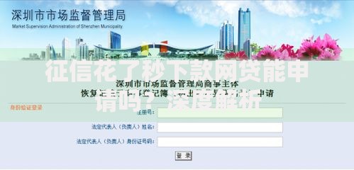 征信花了秒下款网贷能申请吗？深度解析
