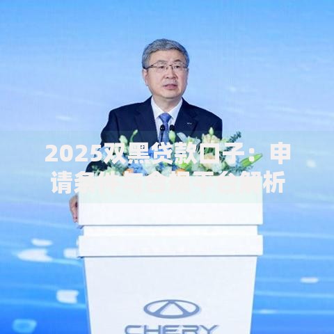 2025双黑贷款口子：申请条件与合规平台解析