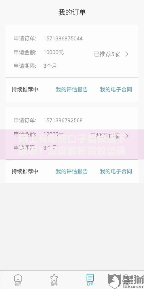 网上有哪些口子能快速下款呢？深度解析高效渠道与避坑指南