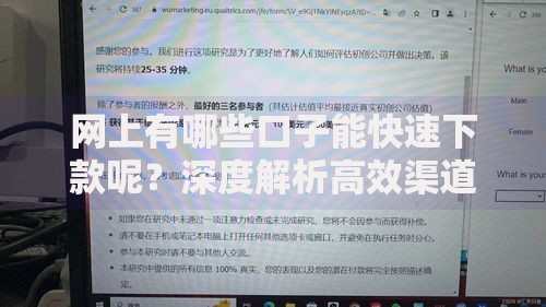 网上有哪些口子能快速下款呢？深度解析高效渠道与避坑指南