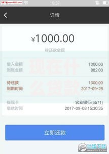 现在什么贷款平台好下款？五类正规渠道通过率解析