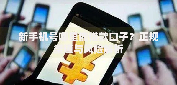 新手机号哪里能借款口子？正规渠道与风险解析