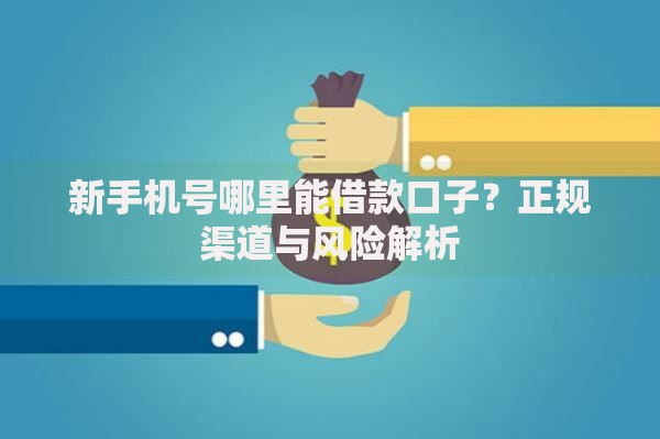 新手机号哪里能借款口子？正规渠道与风险解析