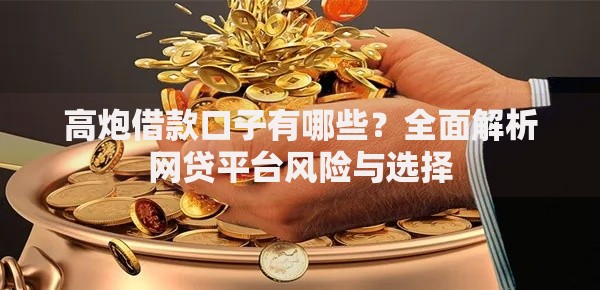 高炮借款口子有哪些？全面解析网贷平台风险与选择