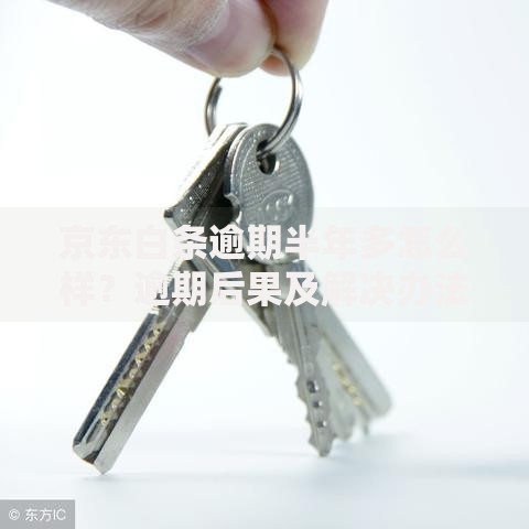 京东白条逾期半年多怎么样？逾期后果及解决办法解析