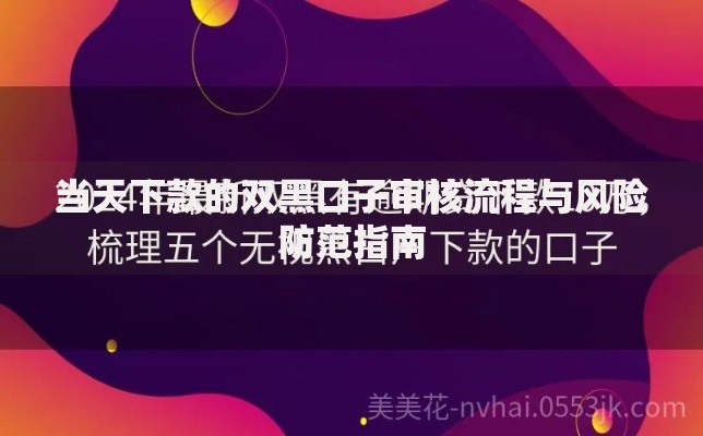 当天下款的双黑口子审核流程与风险防范指南
