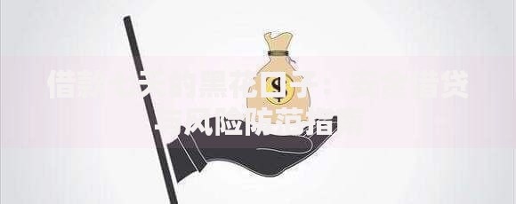 借款七天的黑花口子：安全借贷与风险防范指南
