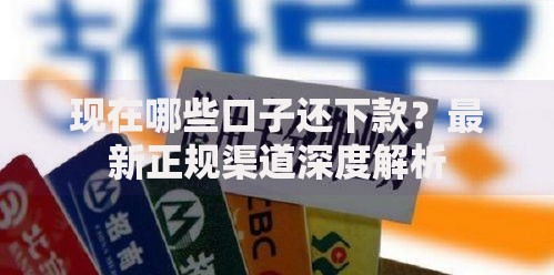 现在哪些口子还下款？最新正规渠道深度解析