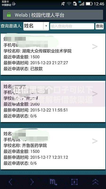 征信黑哪个口子可以下款？深度解析借款渠道与避坑指南