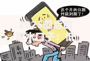 2025最后的放水口子：低息贷款政策如何抓住末班车？