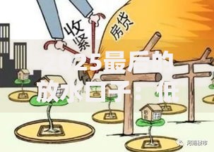 2025最后的放水口子：低息贷款政策如何抓住末班车？