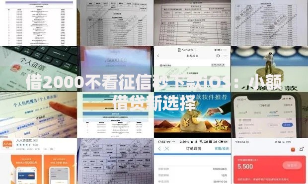 借2000不看征信秒下款iOS：小额借贷新选择