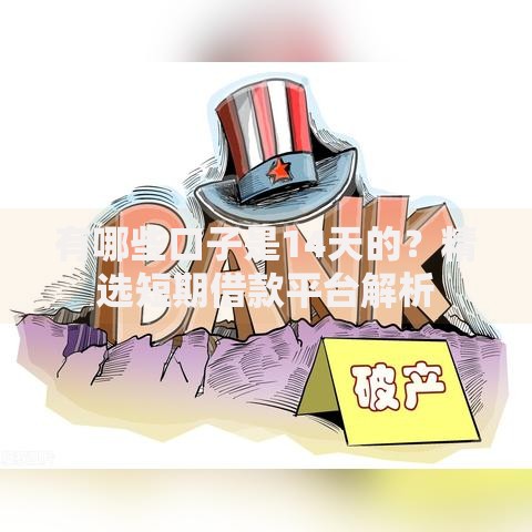 有哪些口子是14天的？精选短期借款平台解析