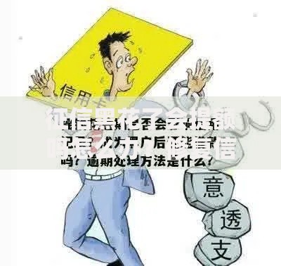 征信黑花了会提额吗怎么办？修复信用与提额策略解析