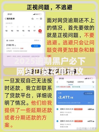2025逾期黑户必下网贷口袋花申请攻略及风险分析