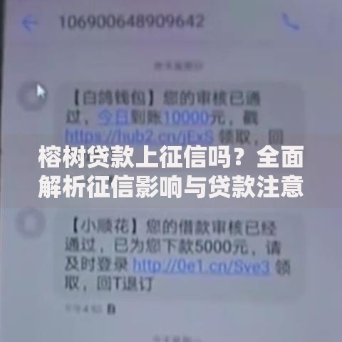 榕树贷款上征信吗？全面解析征信影响与贷款注意事项