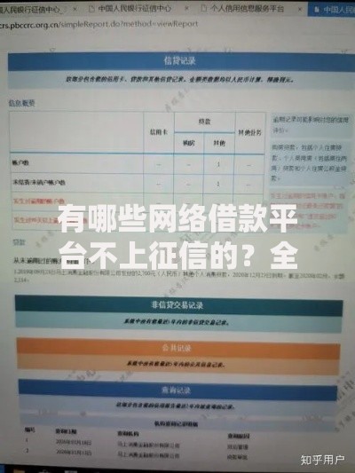 有哪些网络借款平台不上征信的？全面解析与选择建议