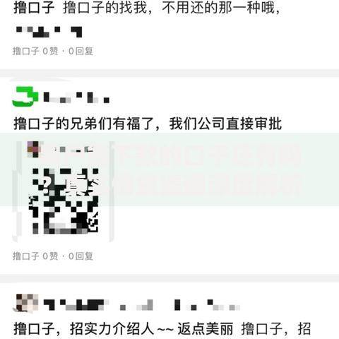 黑户能下款的口子还有吗？真实借贷渠道深度解析