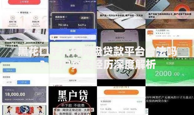 黑花口子九代网盘贷款平台合法吗？用户真实经历深度解析