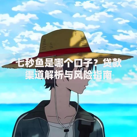 七秒鱼是哪个口子？贷款渠道解析与风险指南