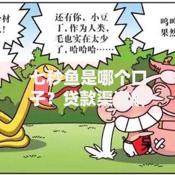 七秒鱼是哪个口子？贷款渠道解析与风险指南
