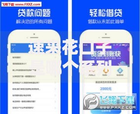 速来花口子是哪个系列的贷款产品背景解析