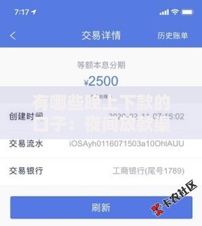 有哪些晚上下款的口子：夜间放款渠道深度解析