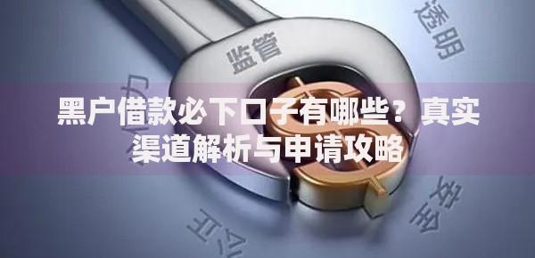 黑户借款必下口子有哪些？真实渠道解析与申请攻略