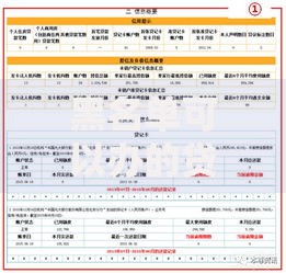黑名单可以办的贷款公司有哪些选择？如何安全申请？