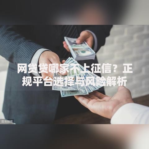 网贷贷哪家不上征信？正规平台选择与风险解析