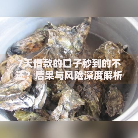7天借款的口子秒到的不还？后果与风险深度解析