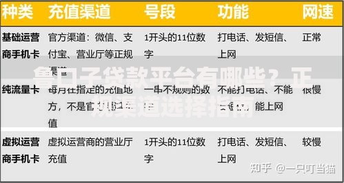 鲁口子贷款平台有哪些？正规渠道选择指南