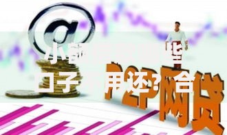 小额借款哪些口子不用还？合规渠道与法律风险深度解析