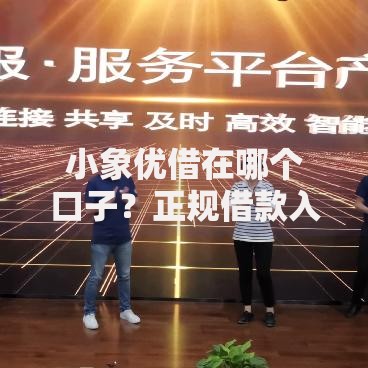 小象优借在哪个口子？正规借款入口解析与使用指南